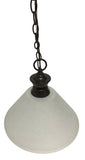 Z-Lite 100701BRZ Pendant Light