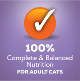 Friskies Savory Adult Turkey and Cheese Shreds Wet Cat Food, 5.5 oz. - 1 Can