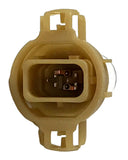 Ford 8L8Z-13466-B Bulb and Socket Assembly 8L8Z13466B