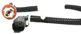 Genuine Ford BW7Z-15A434-AA Socket Assembly BW7Z15A434AA