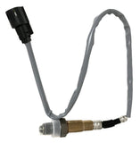 Motorcraft DY-1244 Sensor DY1244 CM5Z-9G444-A