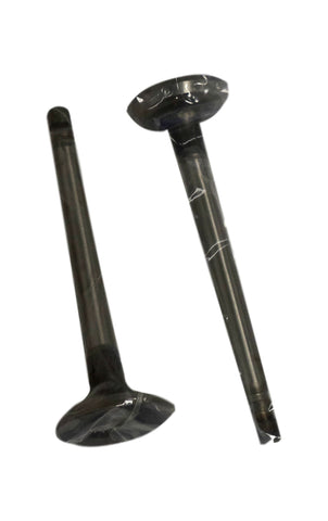 McQuay-Norris Exhaust Valves 2V2401S 8775 AX 1779