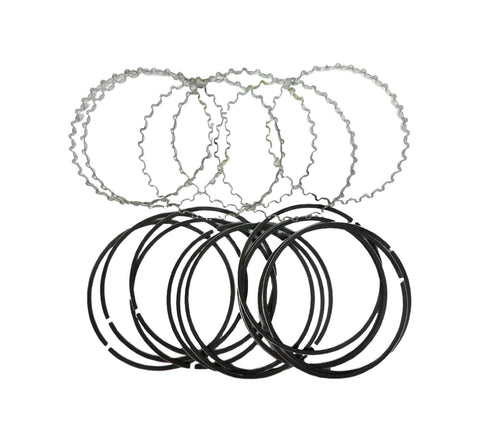 Sealed Power Bottom Groove Brand New