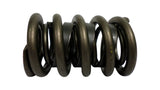 Sealed Power VS-1604 Set of 2 Engine Valve Spring VS1604