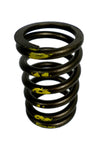 Sealed Power VS-1601 Set of 2 Engine Valve Spring VS1601