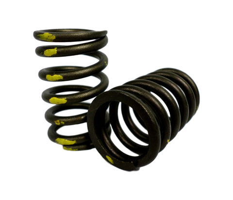 Sealed Power VS-1601 Set of 2 Engine Valve Spring VS1601