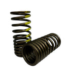 Sealed Power VS-343 Set of Two Engine Valve Spring VS343