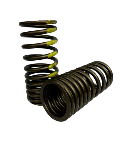 Sealed Power VS-343 Set of Two Engine Valve Spring VS343