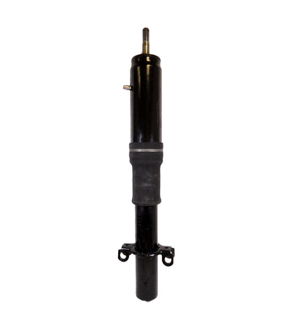 736508 Shock Absorber 25"