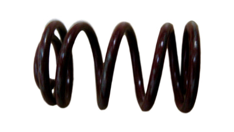 (1) CarQuest H1168 Brake Hold Down Spring