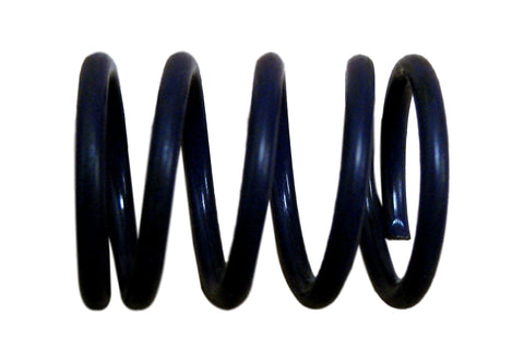 (1) CarQuest H1148 Brake Hold Down Spring
