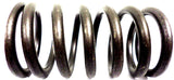 Perfect Circle 212-1295 Engine Valve Spring 2121295 Plymouth Dodge 1981-1994 New