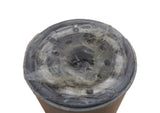 Motorcraft FD-828 Fuel Filter E6HZ-9155E