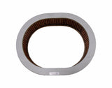 Nicron Air Filter 22005 16546-D1100 CA4346 1982 1983 Fits Nissan Stanza NEW!!!