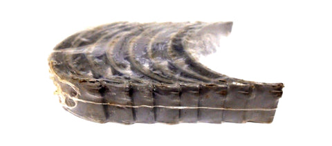 Engine Connecting Rod C813CP 010 C-813-CP 813 010mm