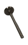 Wolverine Parts V-2550 Engine Intake Valve 2550 New! V2550