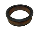AC-Delco A629C 8994933 - AC Delco A629C - Air Filter - New