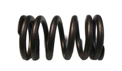 Perfect Circle 212-1059 Engine Valve Spring 2121059