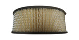 New Hastings Air Filter AF142 AF-142 A357C C8TZ9601-A CA-303 1968-1986 Ford