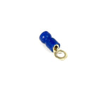 Dorman (Pack of 5) 638-205 16-14 Gauge Blue Ring Terminal
