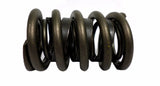 Sealed Power VS-1604 (1) Engine Valve Spring VS1604