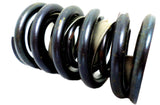 Perfect Circle 212-1316 (1) Engine Valve Spring 2121316 Chevrolet 1966-1976 New!
