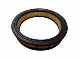 Hastings AF804 A755C Air Filter READY TO SHIP