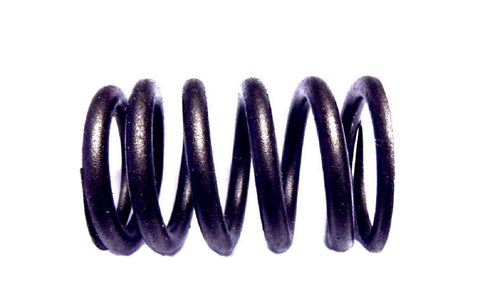 Sealed Power RC-76A Valve Spring RC76A RC-76-A