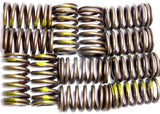 Sealed Power VS-868 Engine Valve Spring kit of 12