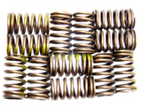 Sealed Power VS-868 Engine Valve Spring kit of 12