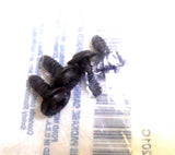 Genuine OEM Ford W702738-S424 Tailgate - Pull Handle Screw (qty.4) BRAND NEW!!