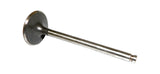 V1077U Engine Intake Valve