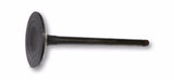 Beck/Arnley 021-3193 Engine Intake Valve