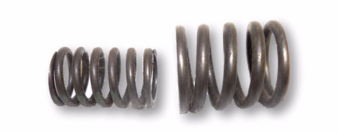 023-1373 Engine Valve Spring 0231373