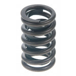 Perfect Circle 212-1151 Engine Valve Spring-Exhaust Valve Spring