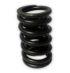 Perfect Circle 212-1151 Engine Valve Spring-Exhaust Valve Spring