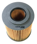 Carquest R84203 Engine Oil Filter